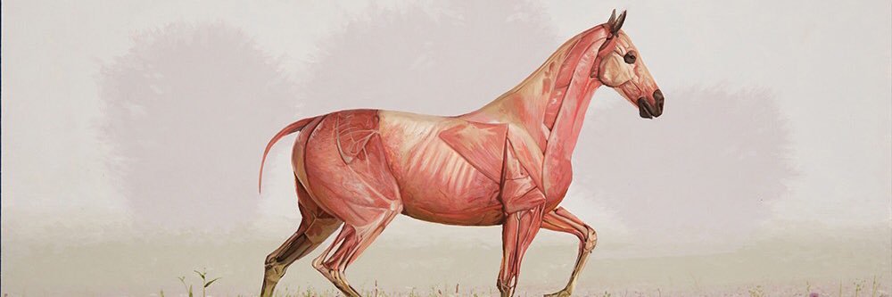 alyoshasizz's profile banner image