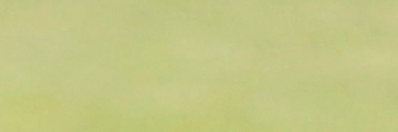 MUTfeed's profile banner image