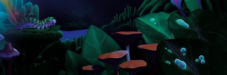 Sean Hellfritsch banner