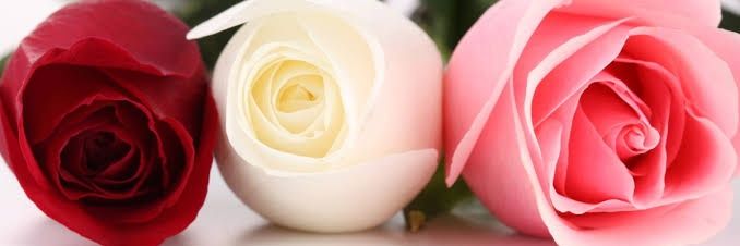 7760ab507a094e6's profile banner image