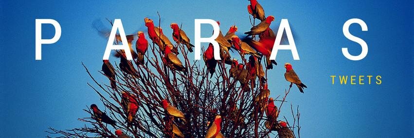 parasm's profile banner image