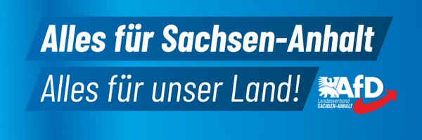 AfD_LSA Profile Banner