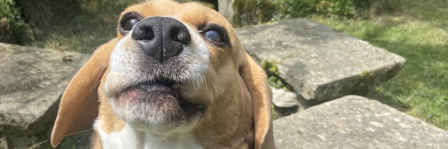 mrxmarie's profile banner image
