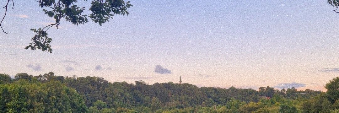 MikeyMikeire's profile banner image