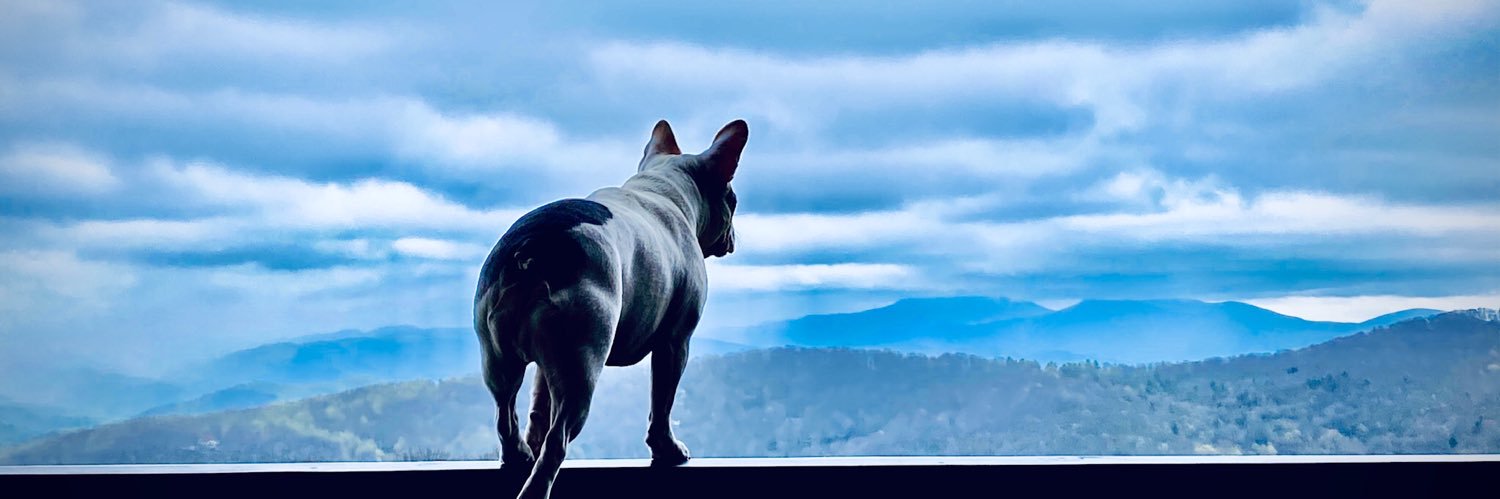 Matthew Elliott banner