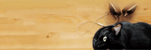 Rhapsody Profile Banner