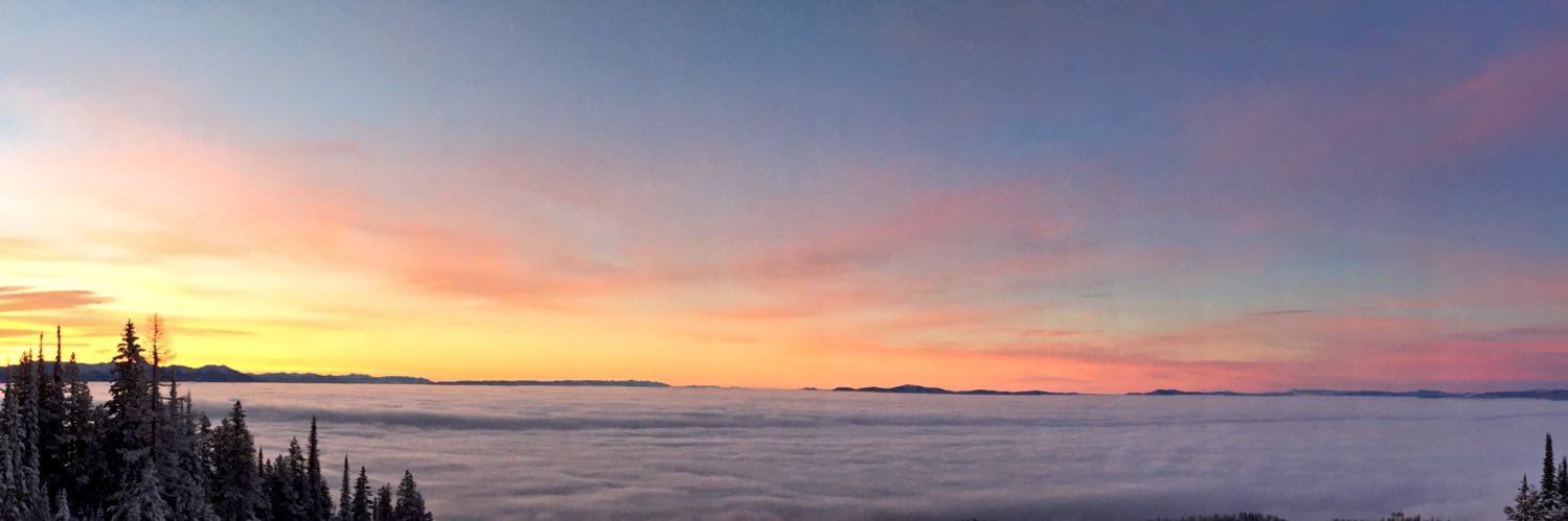 MackenzieWint11's profile banner image