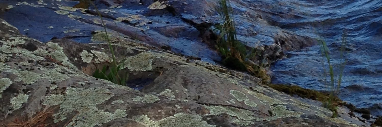 lisataylor985's profile banner image