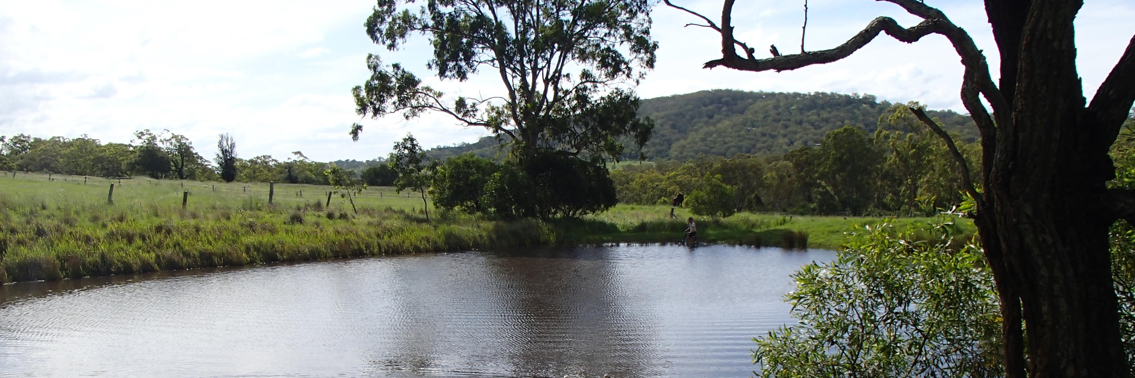 Prof. Bernadette McCabe banner
