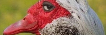 AziziKatula's profile banner image