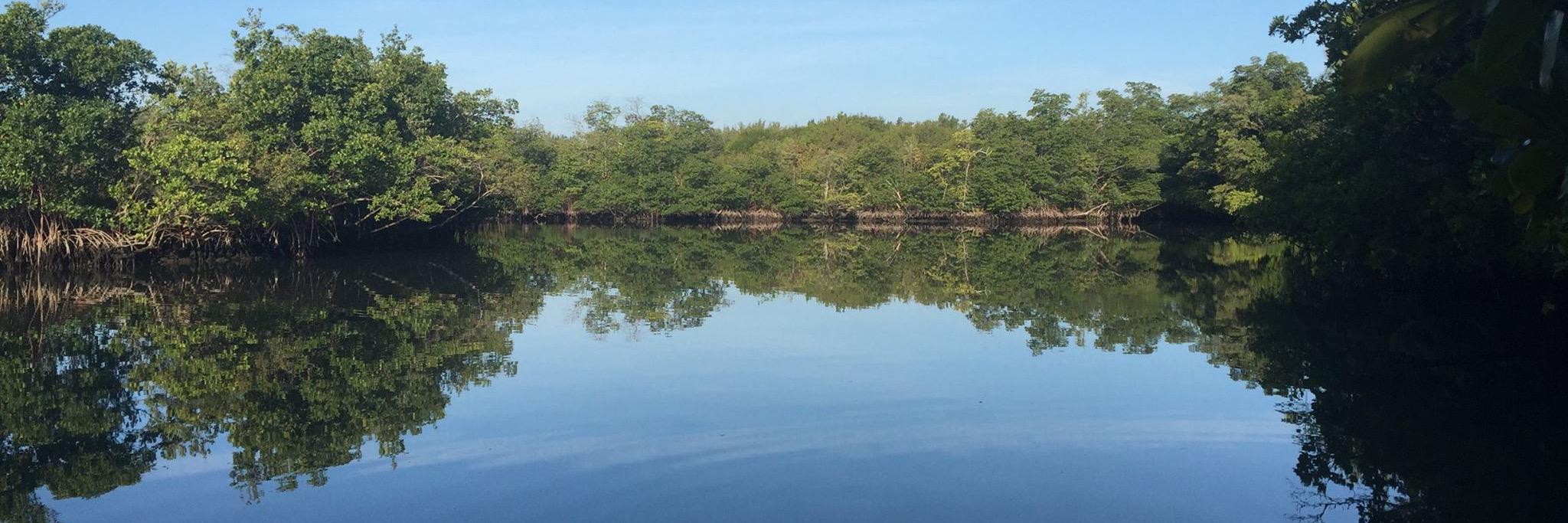 Oleta RSPark Friends banner