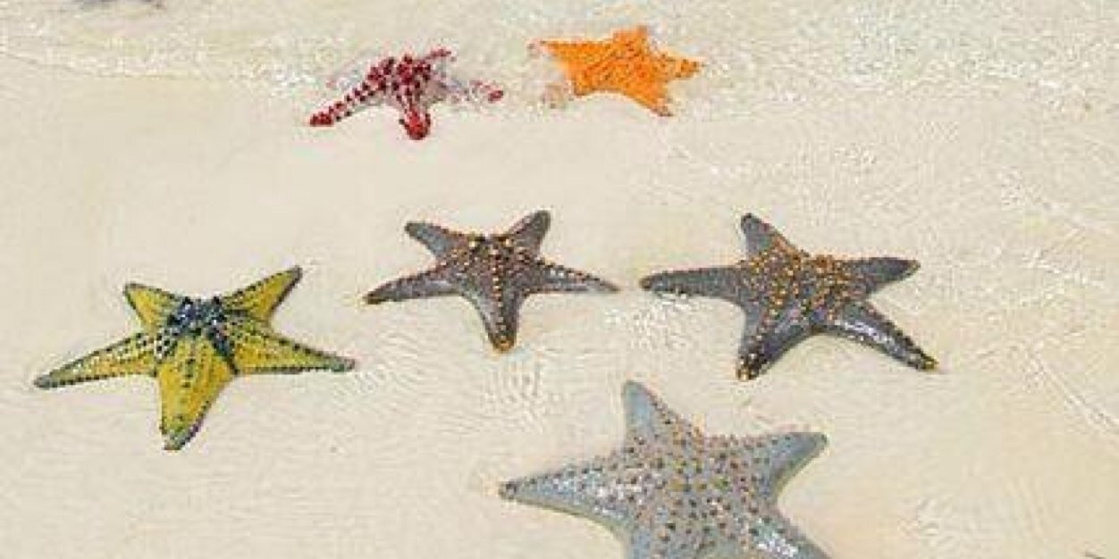 Sar_Ah826's profile banner image