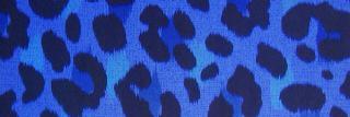 _____OIZE's profile banner image