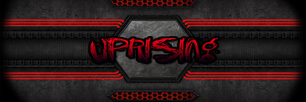 RISE Pro Wrestling banner
