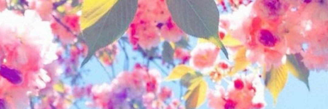 Rocio_Docente's profile banner image