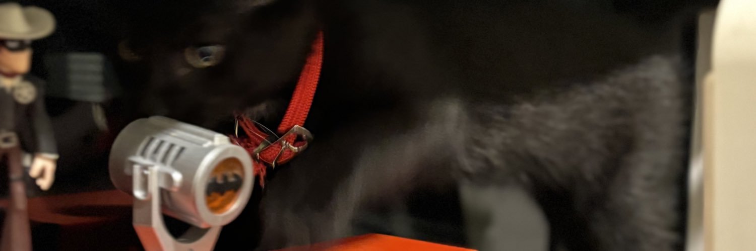 baywhitecloud's profile banner image