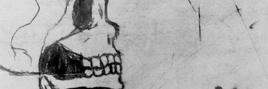 vynil_l's profile banner image