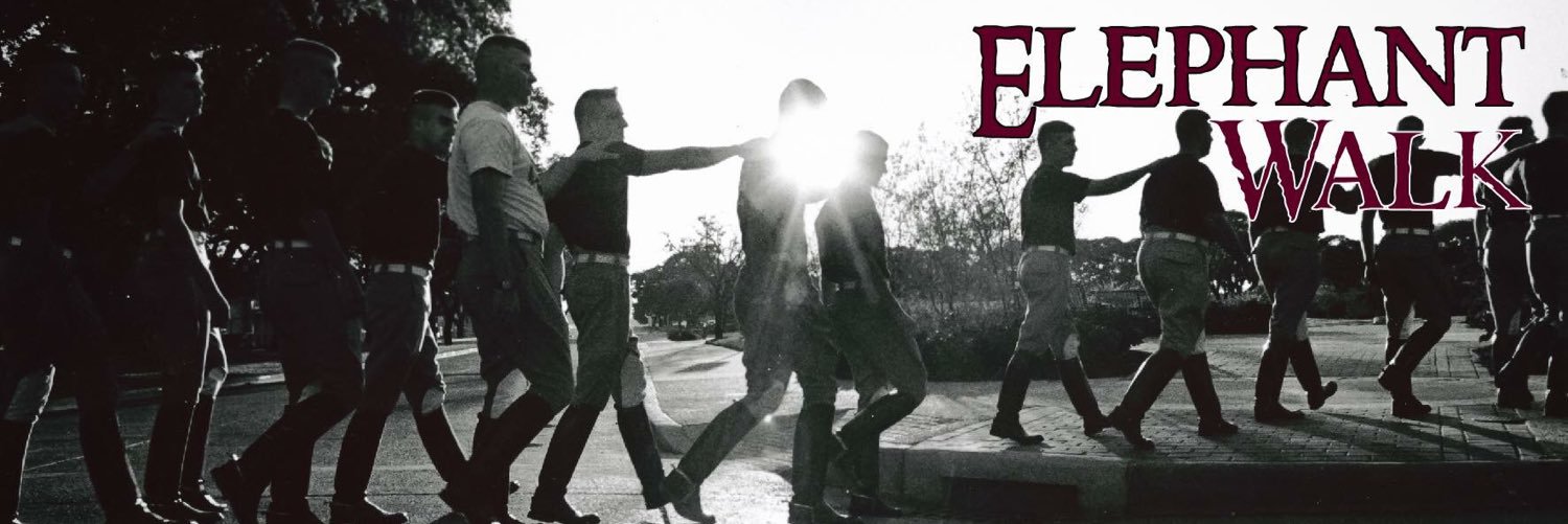 JuniorEWalk's profile banner image