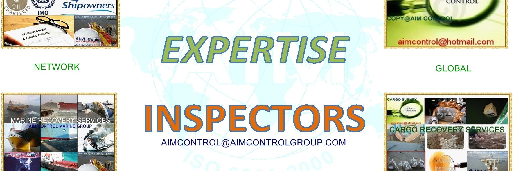 InspectSurveyor's profile banner image