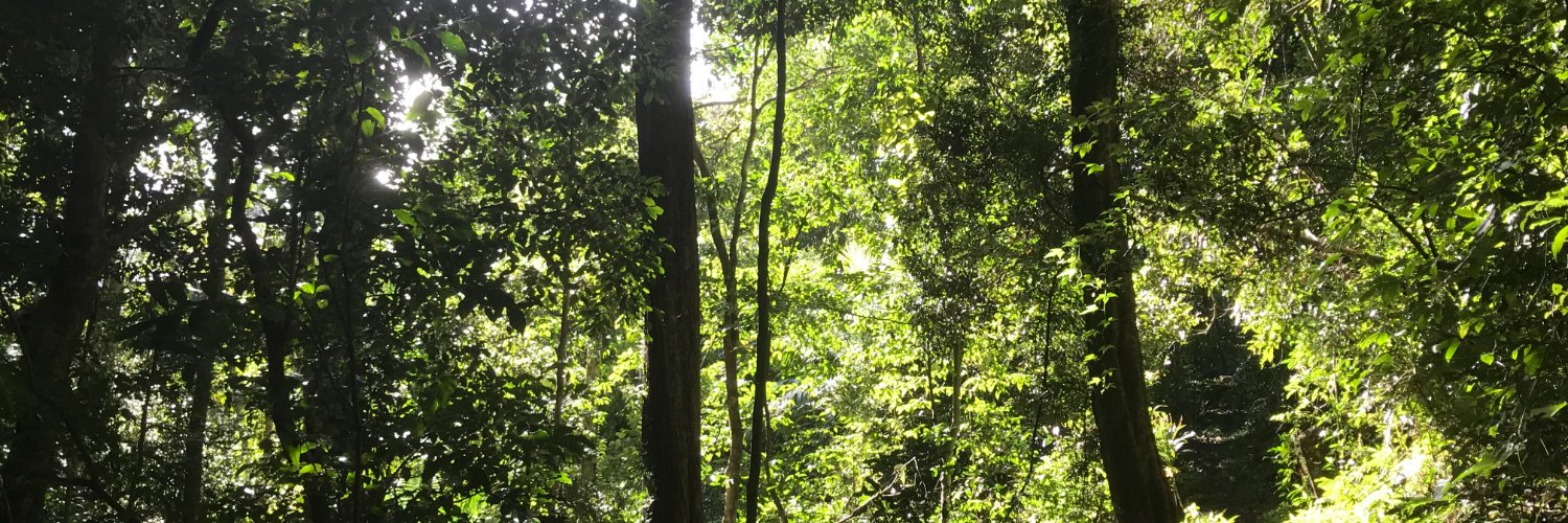 Stuart Biddle banner