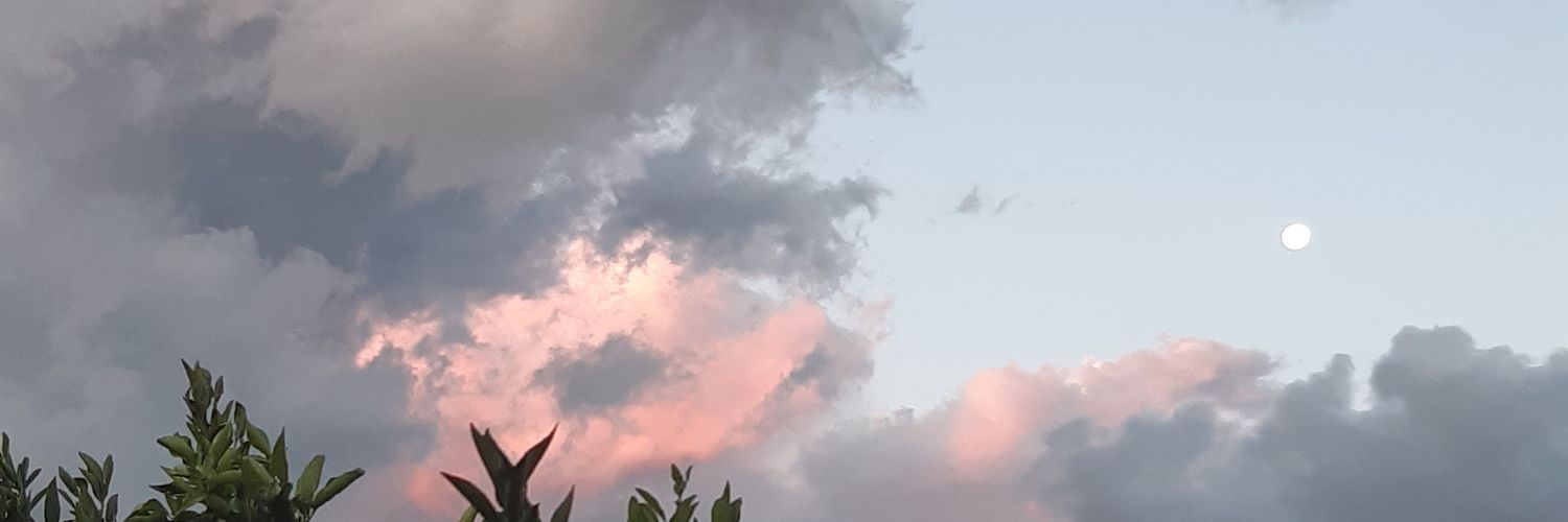 Desistiel's profile banner image