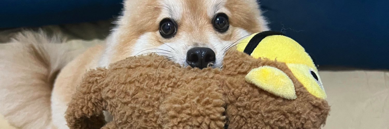 DayhaRodrigues's profile banner image