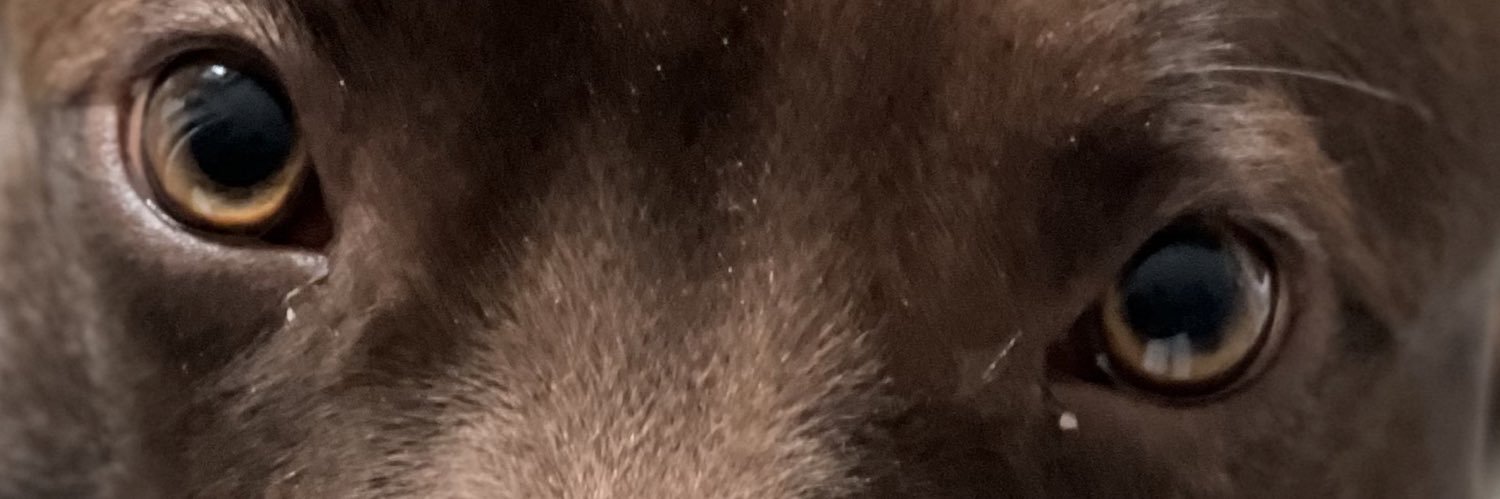 94CLAY's profile banner image