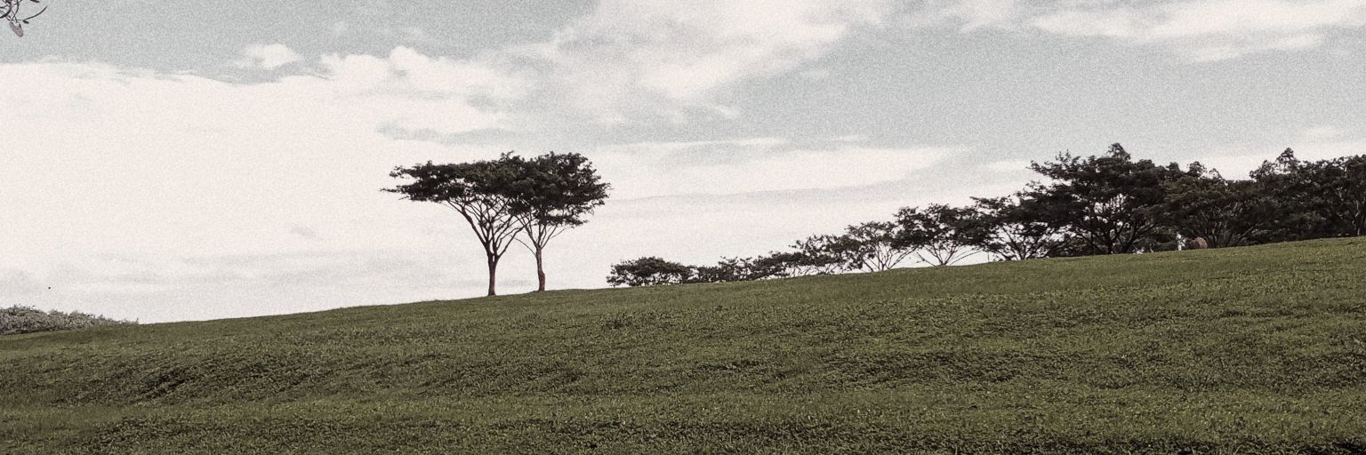 adputriw's profile banner image