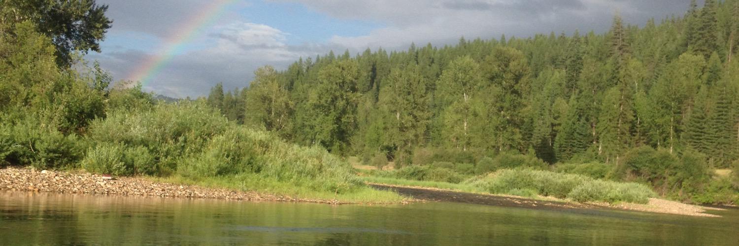 Beau_Byus's profile banner image