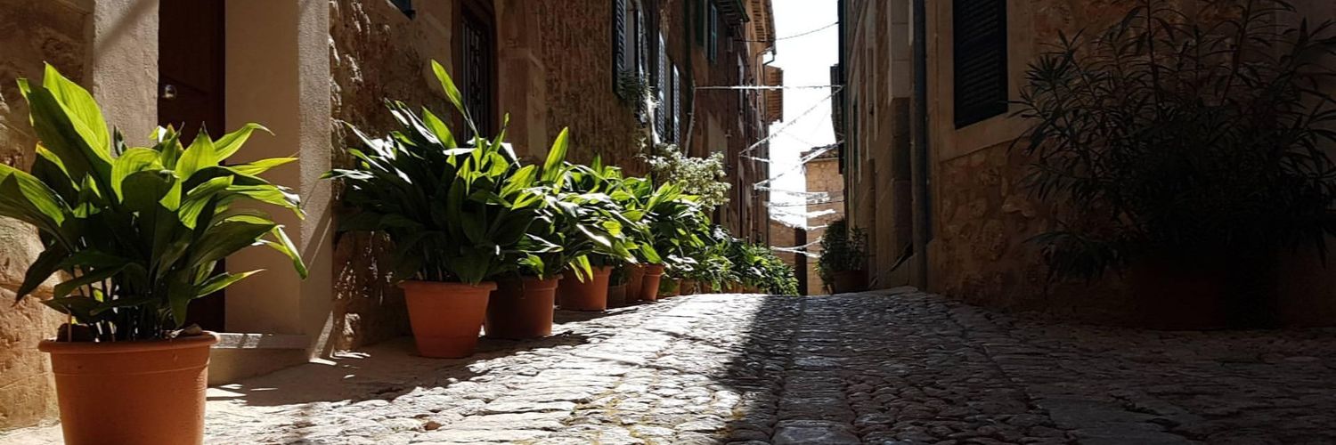Mayte_fs's profile banner image