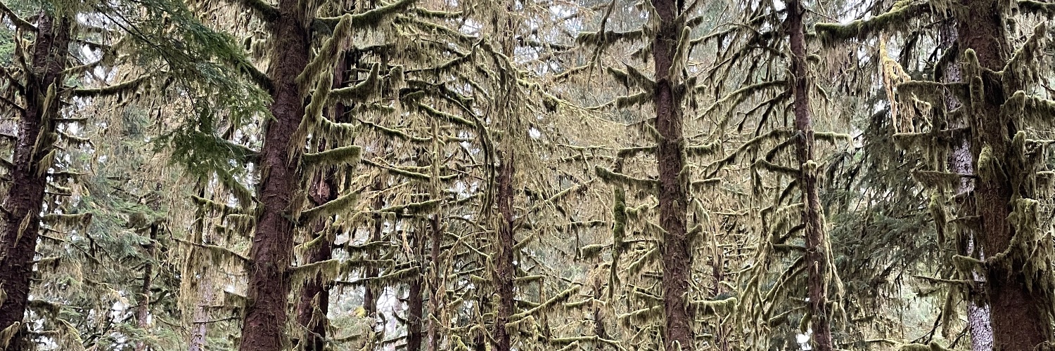 HSchwendeman's profile banner image