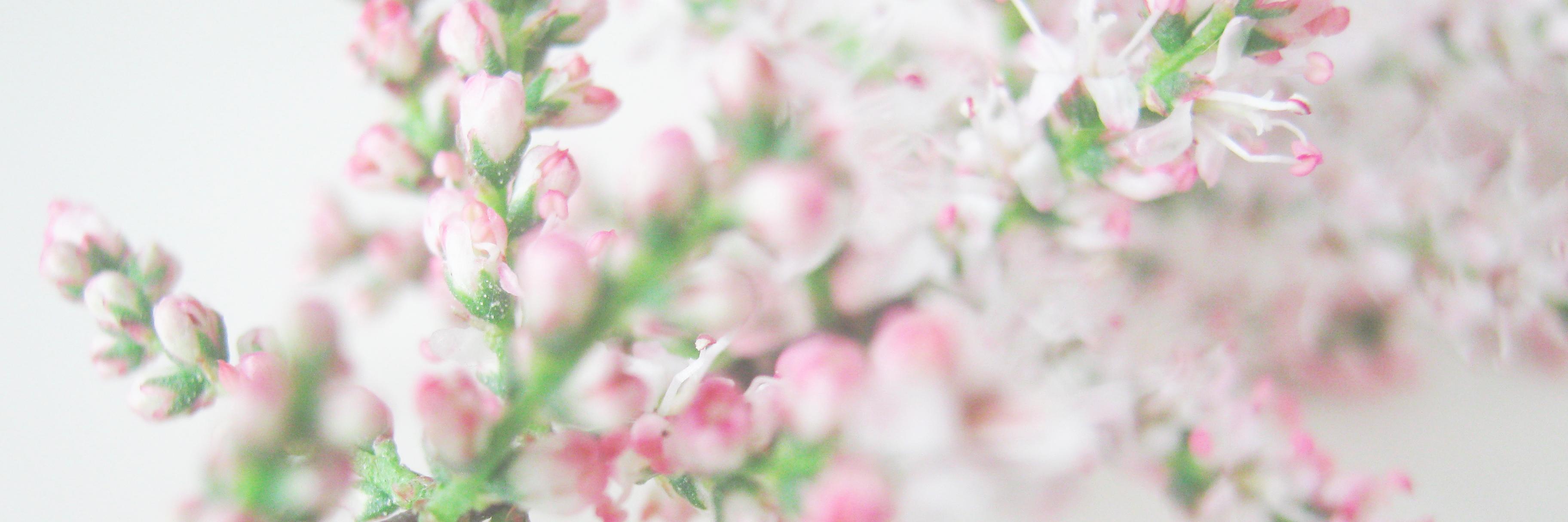 bdibNA's profile banner image