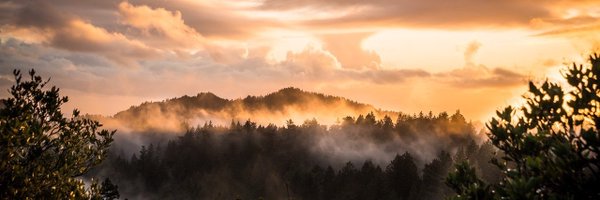 common_phenom Profile Banner