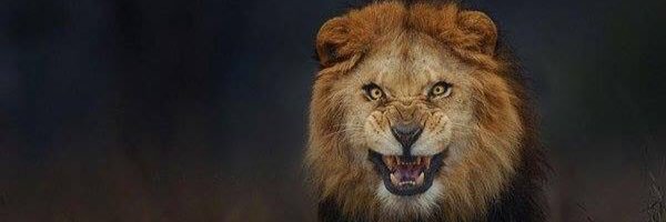 ChastainWes's profile banner image
