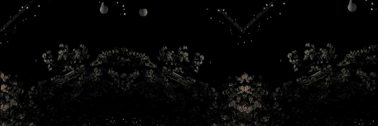 formapulchri's profile banner image