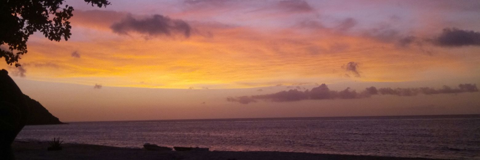 Ericka_R2's profile banner image