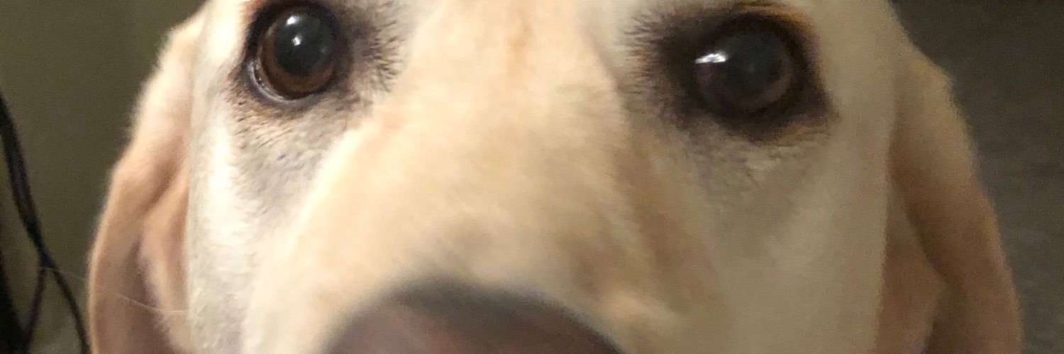 EvanHope_5's profile banner image