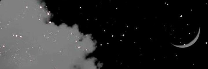 brunosasso's profile banner image