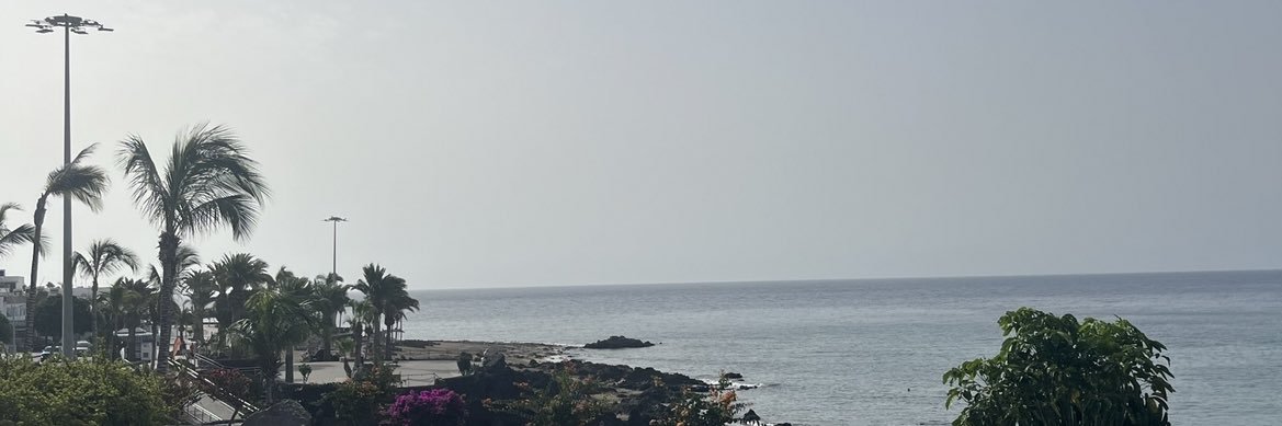 emilygeddes_'s profile banner image