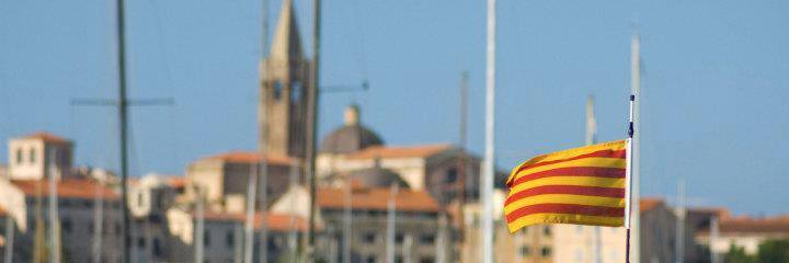 delgovalguer's profile banner image
