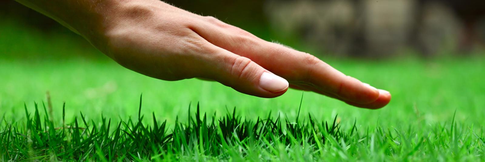 weedpatrol2015's profile banner image