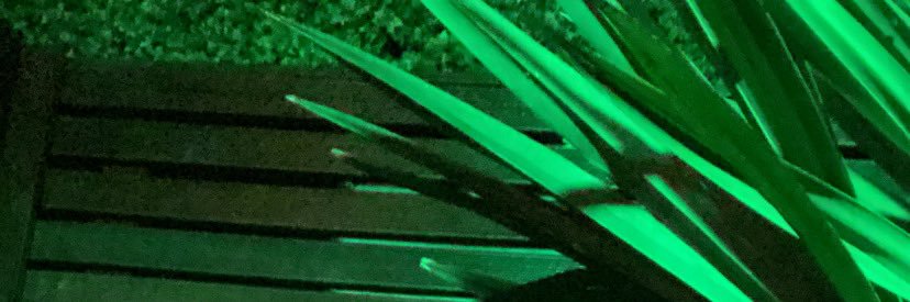 larrychros's profile banner image