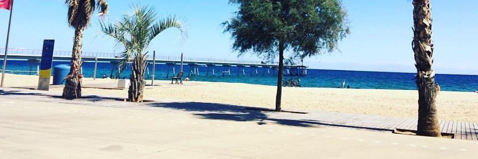 kimskc's profile banner image
