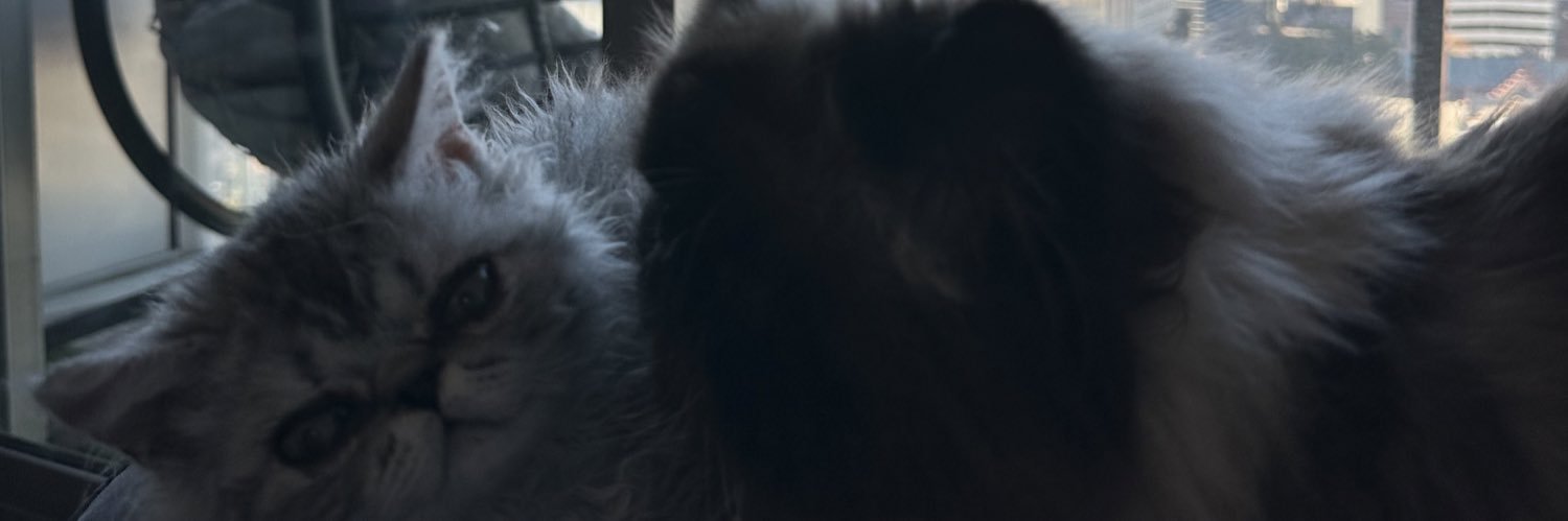pxrizat's profile banner image