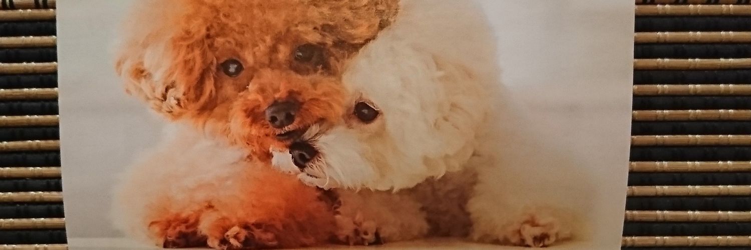 shownanboy1's profile banner image
