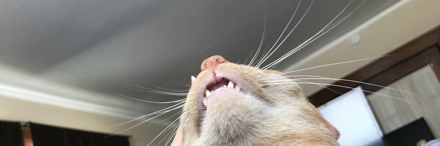CTfan1's profile banner image