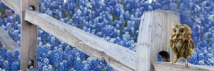 NotinmyworldOrg's profile banner image