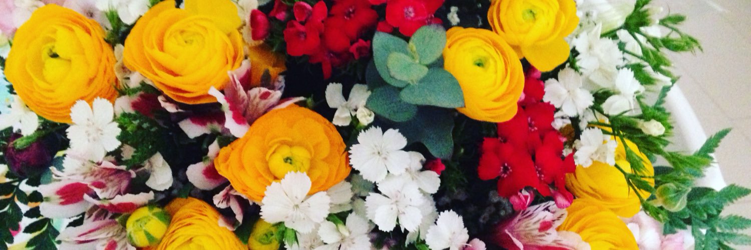 albalovesyou's profile banner image