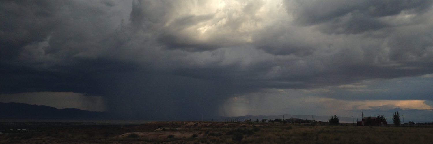 Cristina LCherry banner