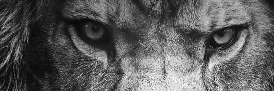 JaiderVelasco's profile banner image